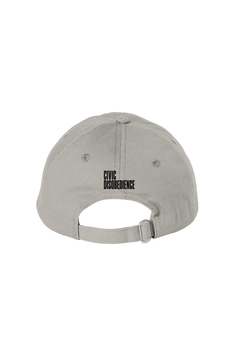 Policy Wonk Wonka Bio Washed Dad Hat