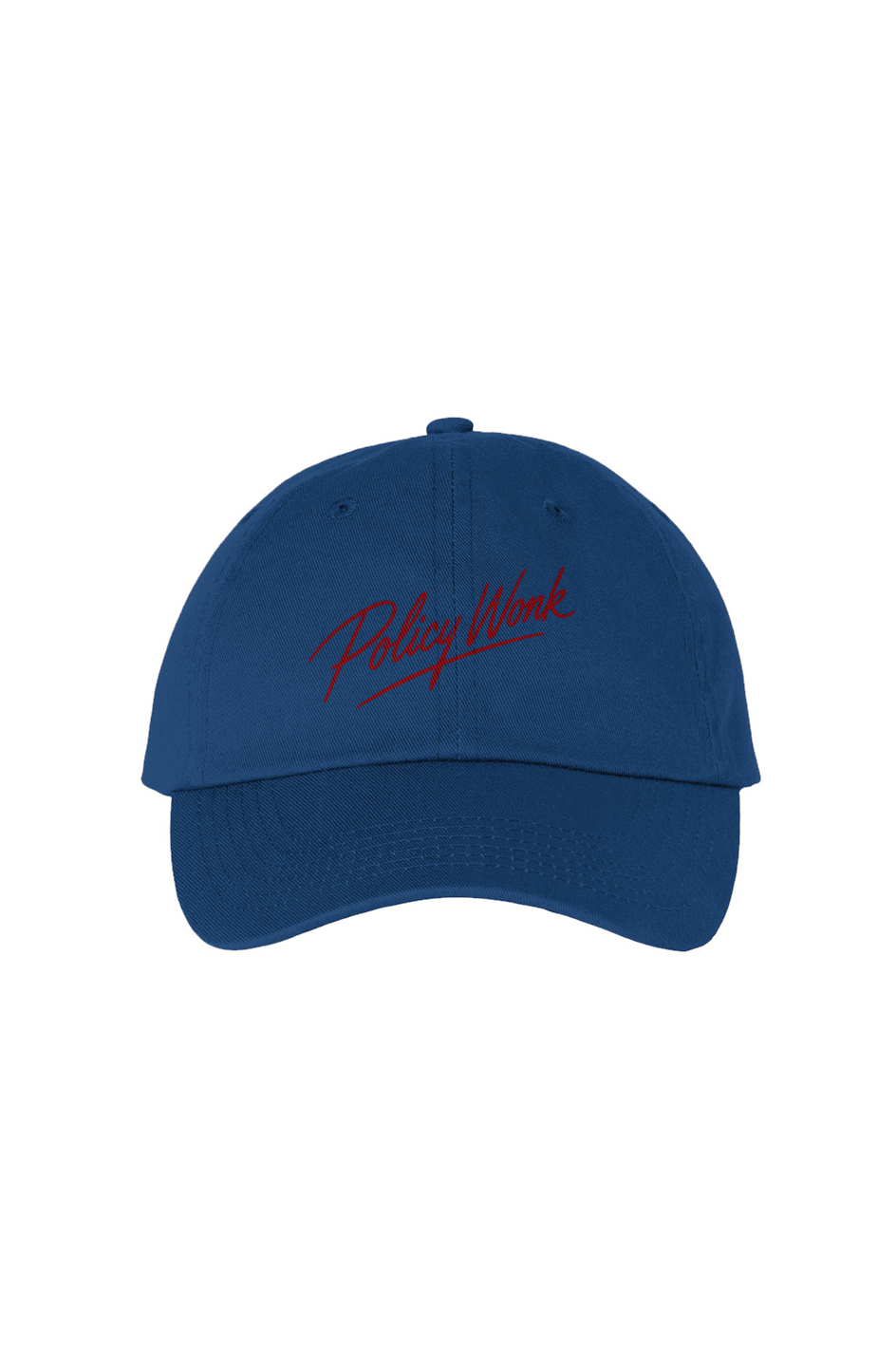 Sexy Policy Wonk Bio Washed Dad Hat
