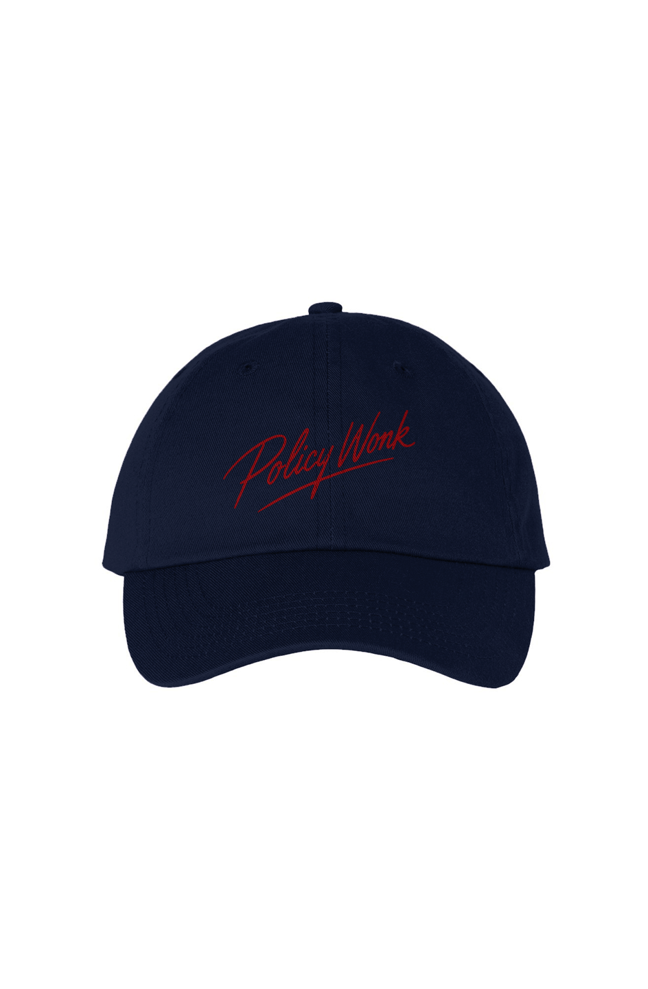 Sexy Policy Wonk Bio Washed Dad Hat
