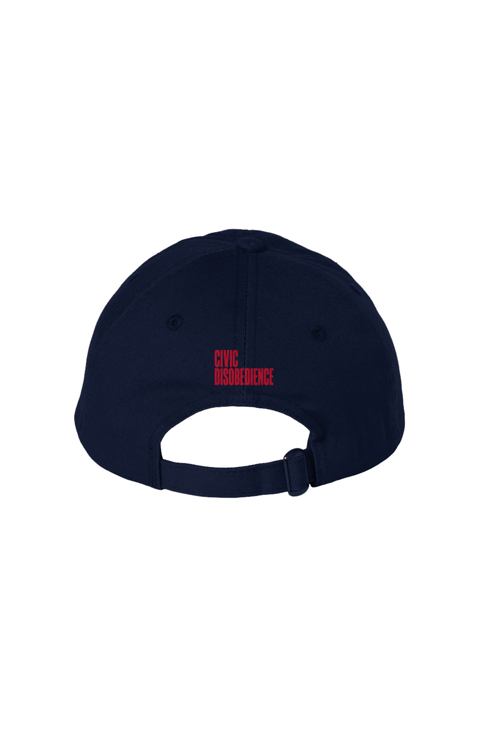 Sexy Policy Wonk Bio Washed Dad Hat
