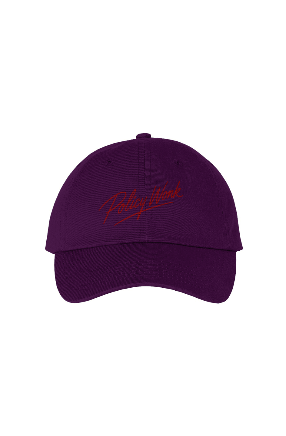 Sexy Policy Wonk Bio Washed Dad Hat