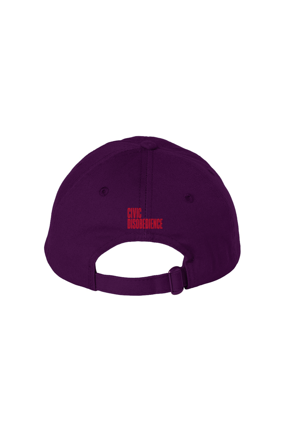 Sexy Policy Wonk Bio Washed Dad Hat