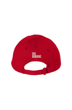 Policy Wonk Ivy League Bio Washed Dad Hat