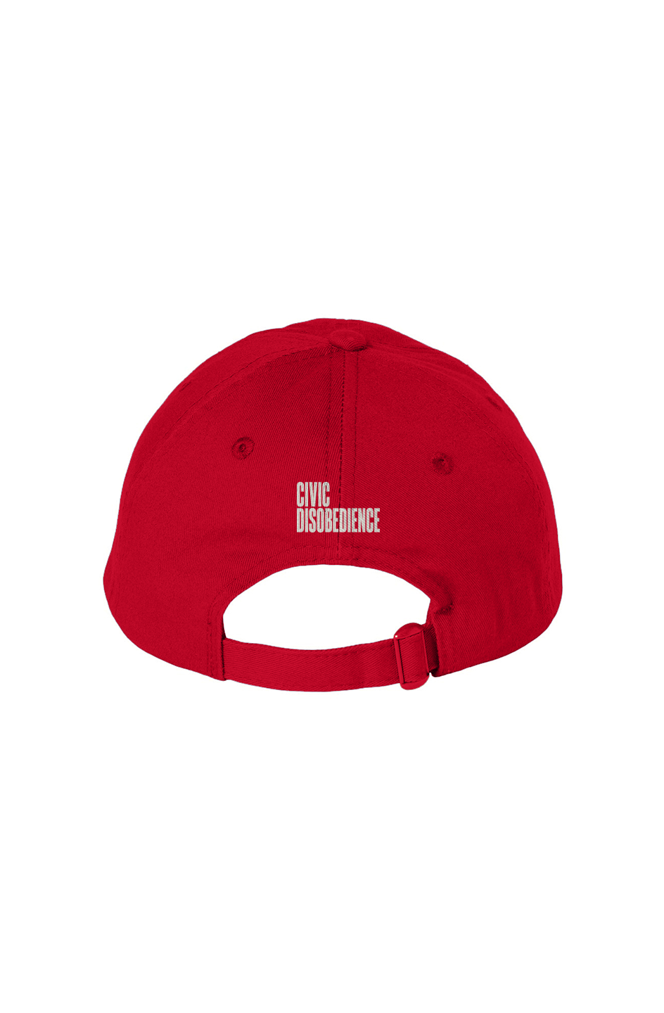 Policy Wonk Ivy League Bio Washed Dad Hat