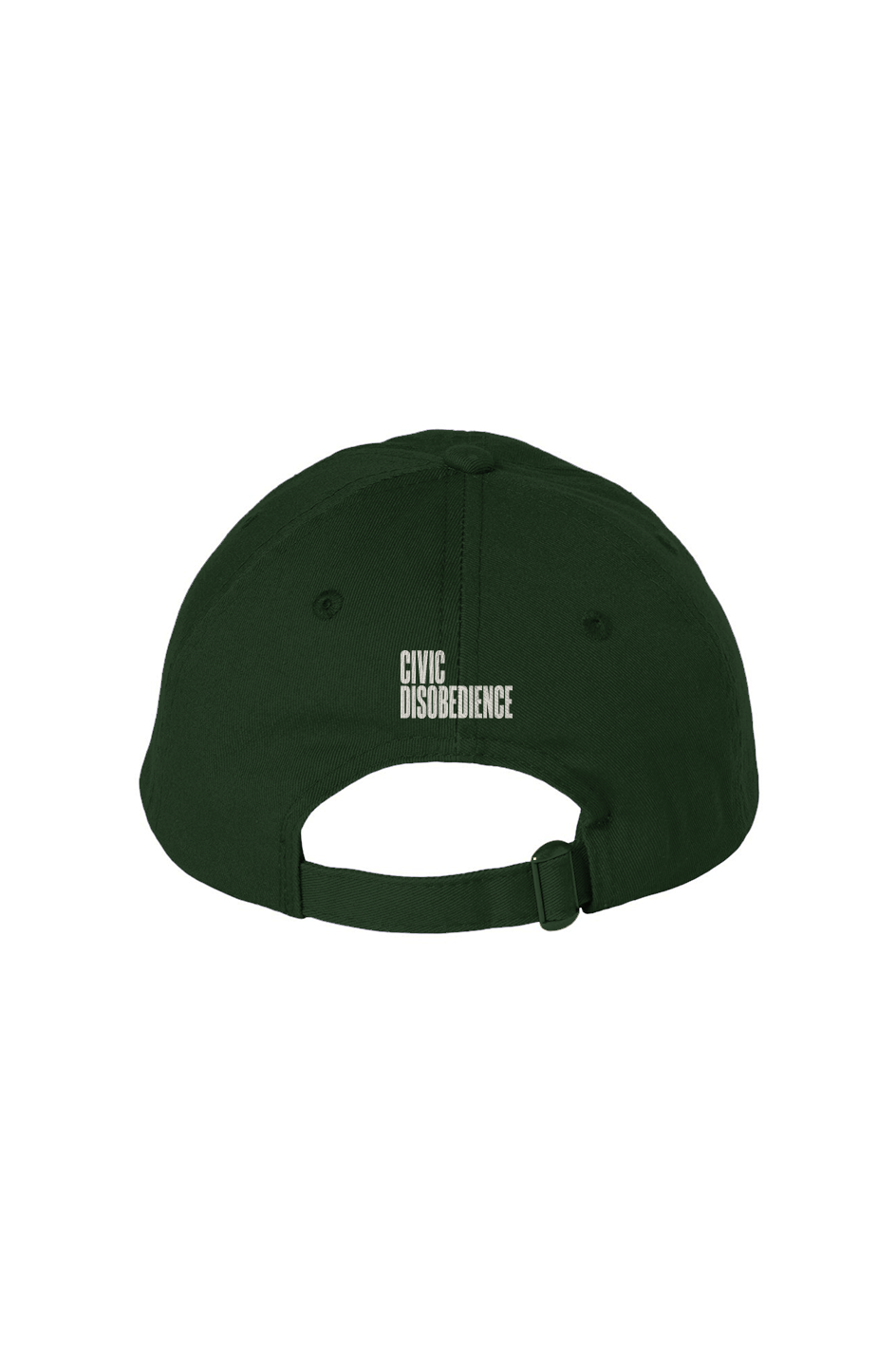 Policy Wonk Ivy League Bio Washed Dad Hat
