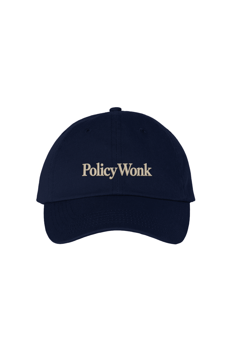 Policy Wonk Ivy League Bio Washed Dad Hat